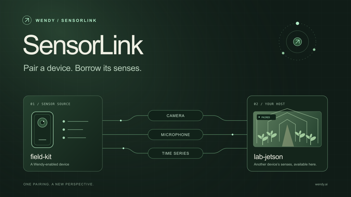 SensorLink: Pair a Device. Borrow Its Senses.